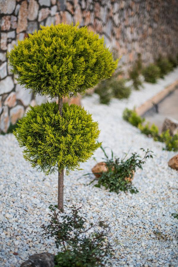 Panorama Villa 玛利亚 外观 照片